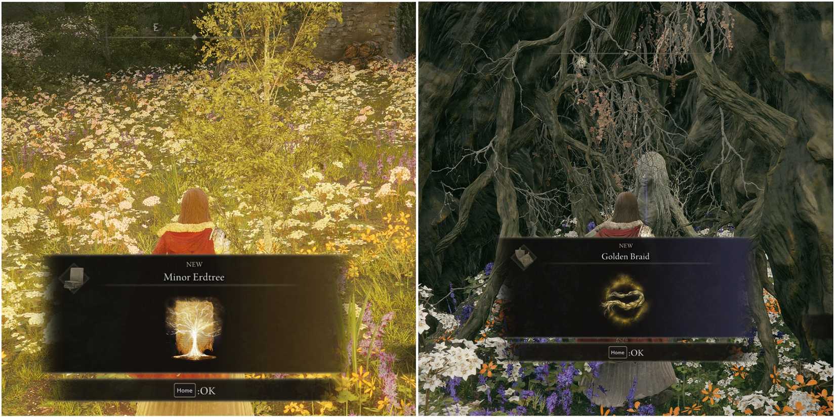 Elden Ring - Shadow Of The Erdtree - Shaman Village Items