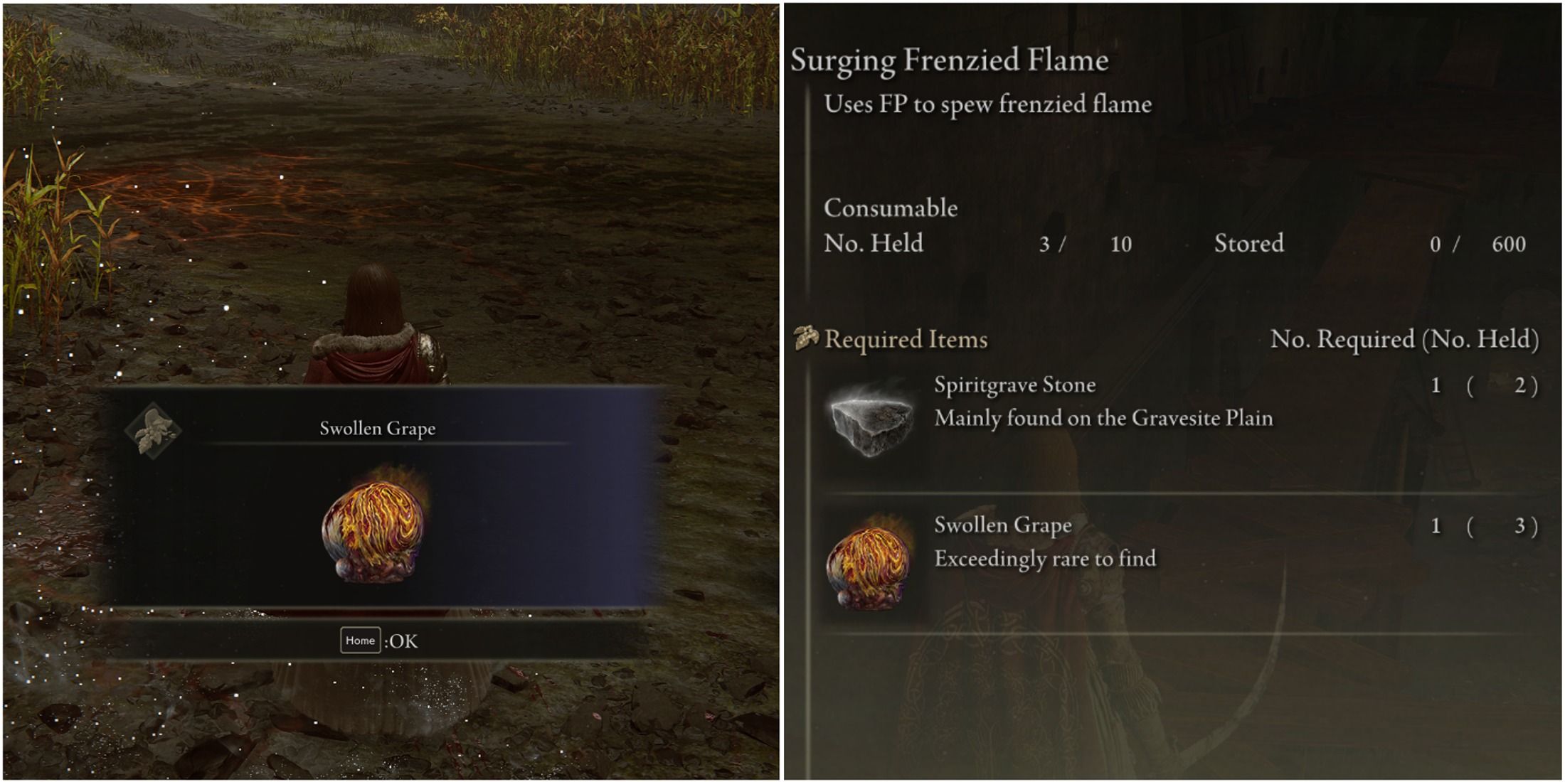 Elden Ring - Shadow Of The Erdtree - Surging Frenzy Flame Crafting