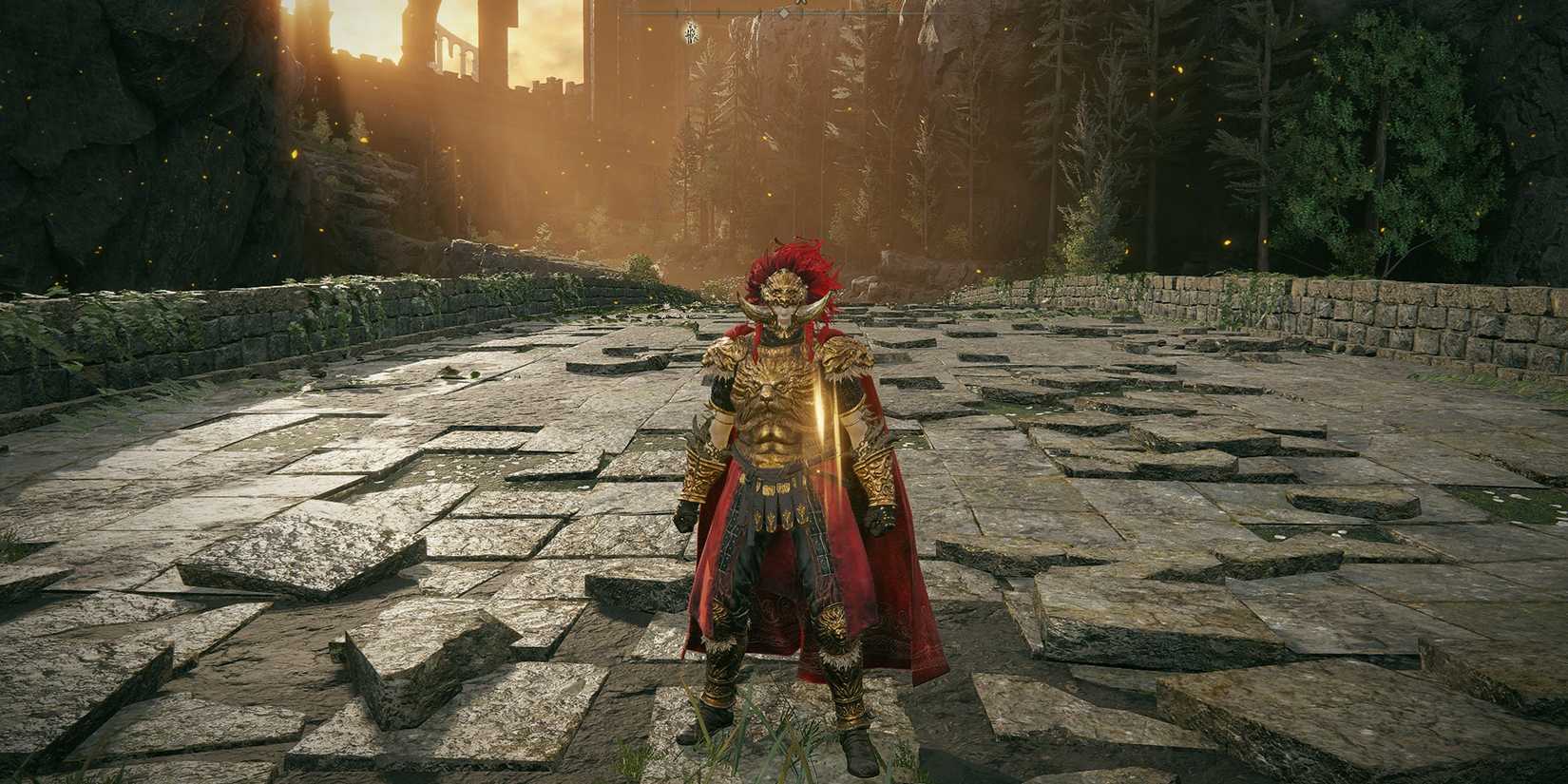 elden ring young lion's set showcase