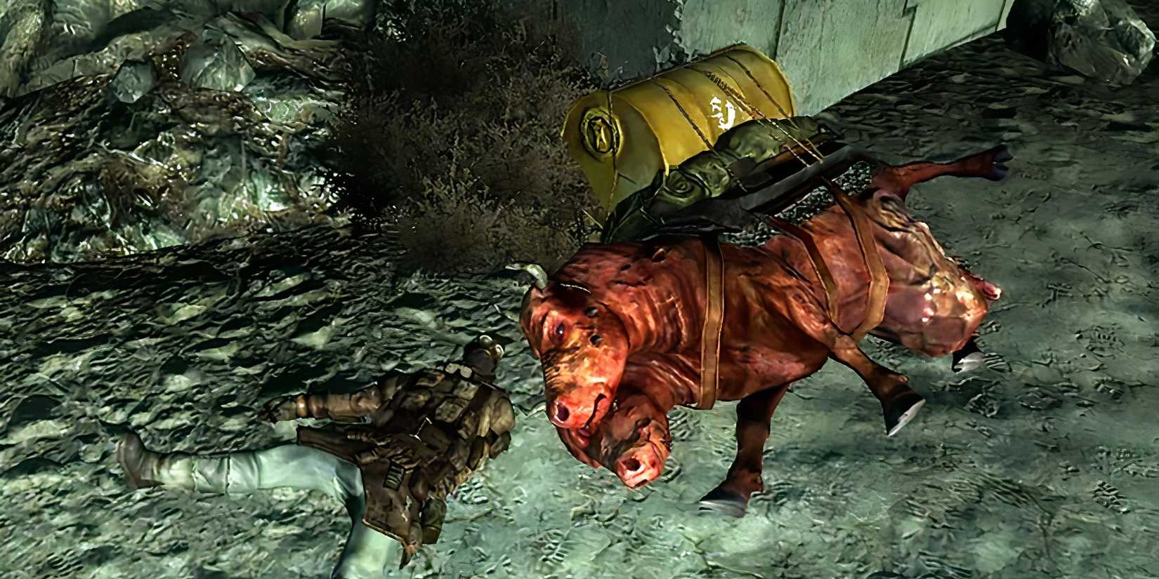 Fallout 3 Protecting the Water Way