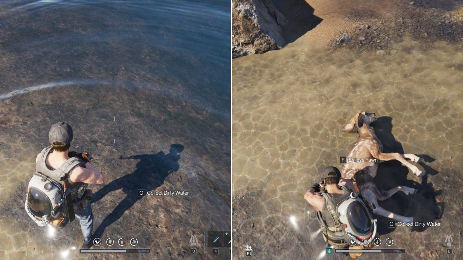 The Player Collecting Dirty Water & Raw Meat