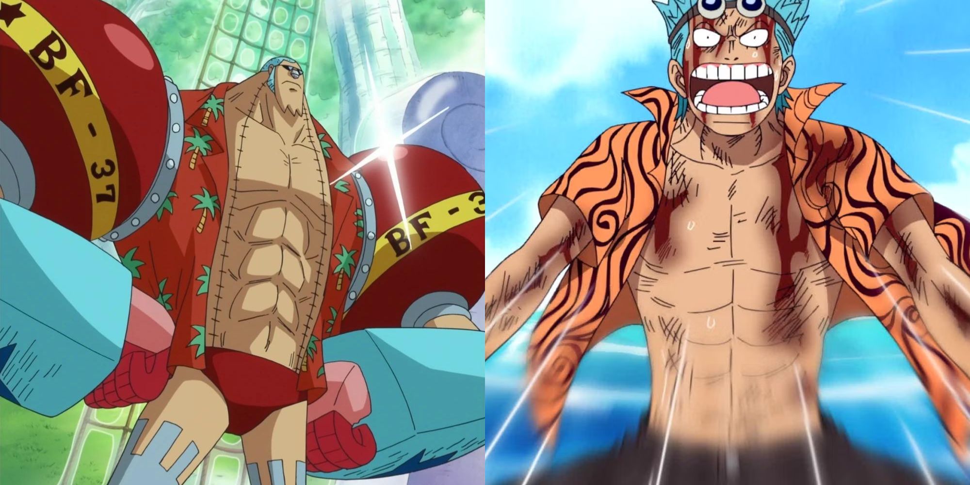 Best Scars In One Piece