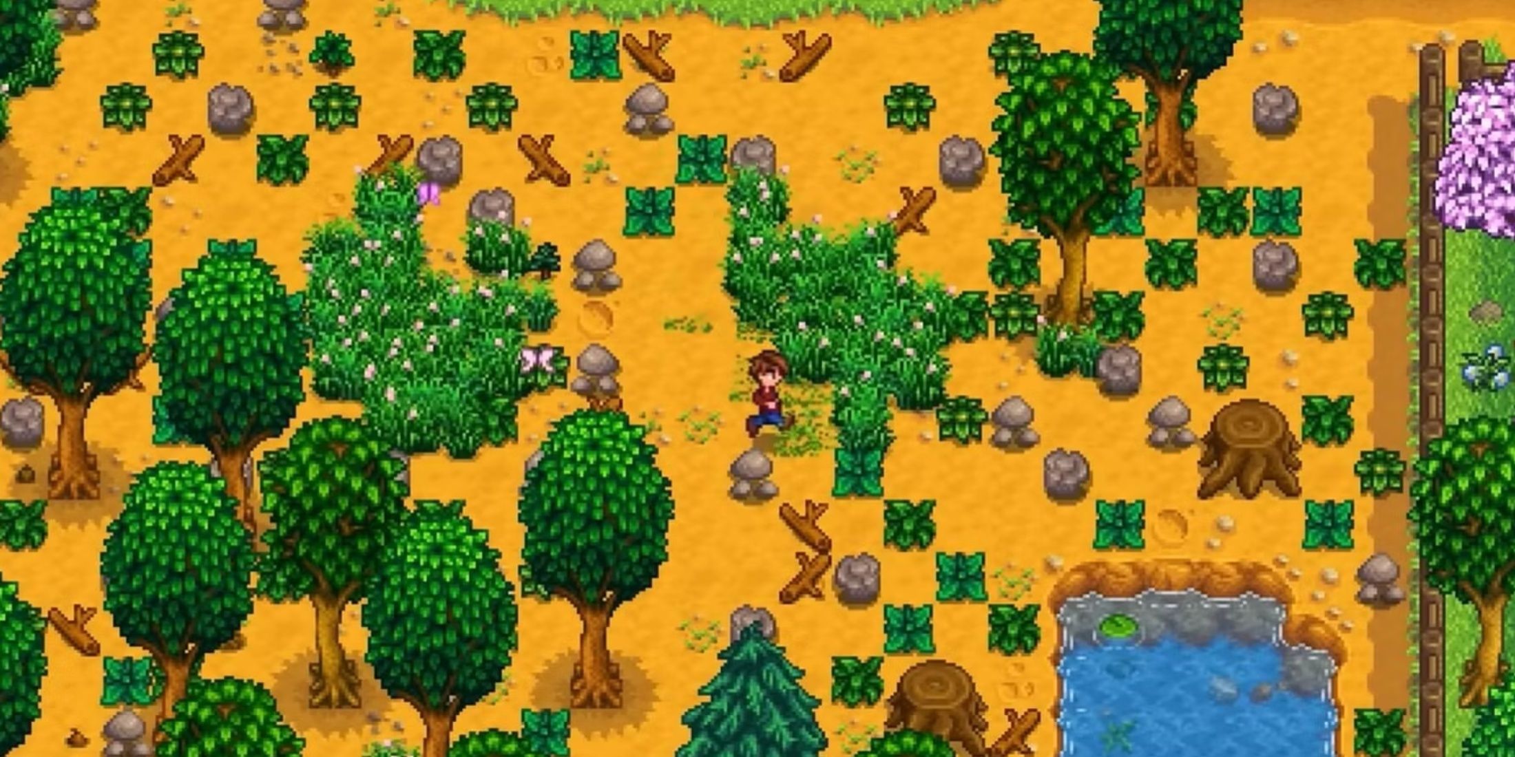 grass stardew valley