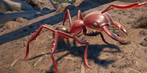 Grounded Fire Ant Soldier