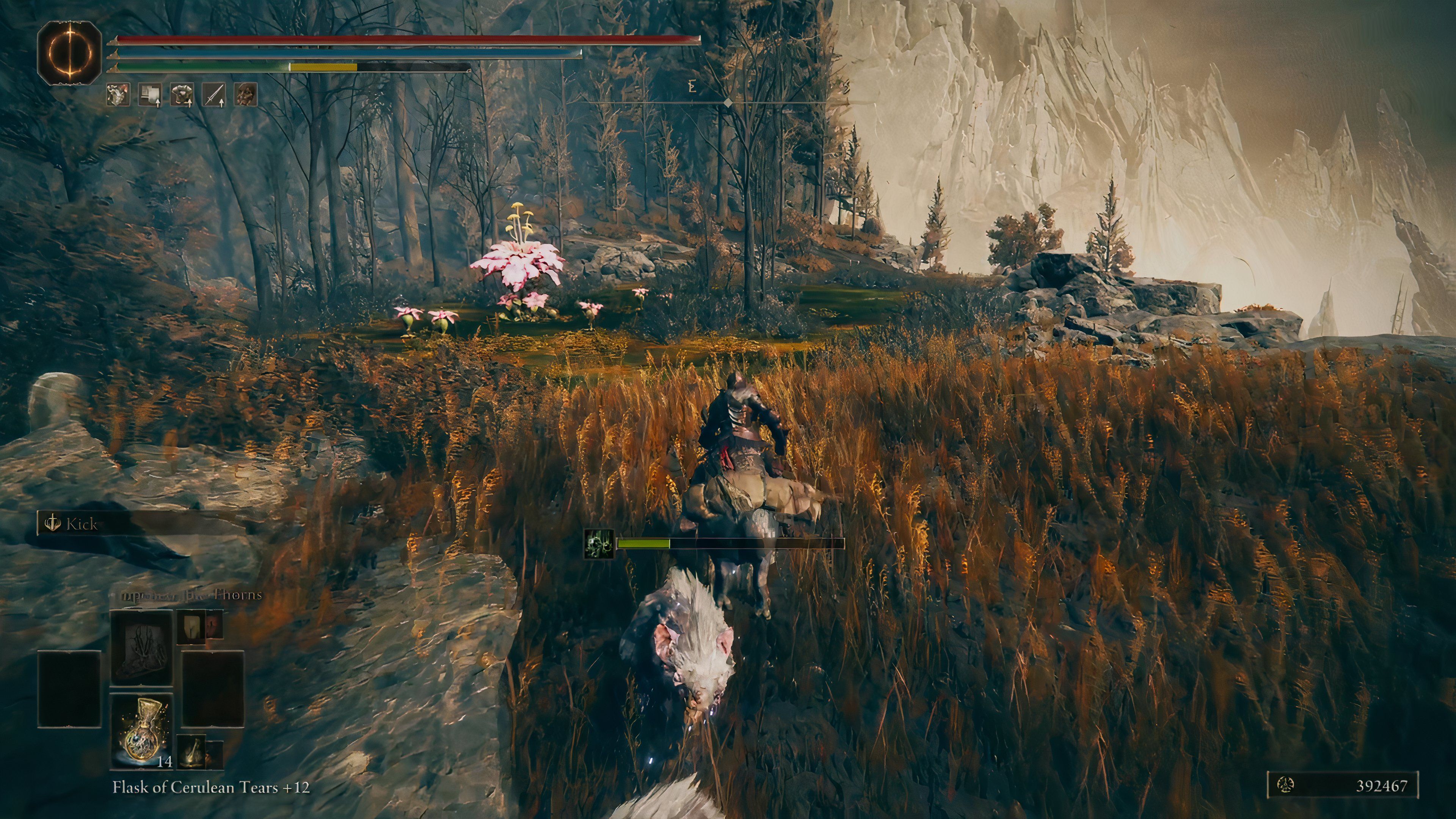 How To Reach Elder's Hovel in Shadow of the Erdtree 6