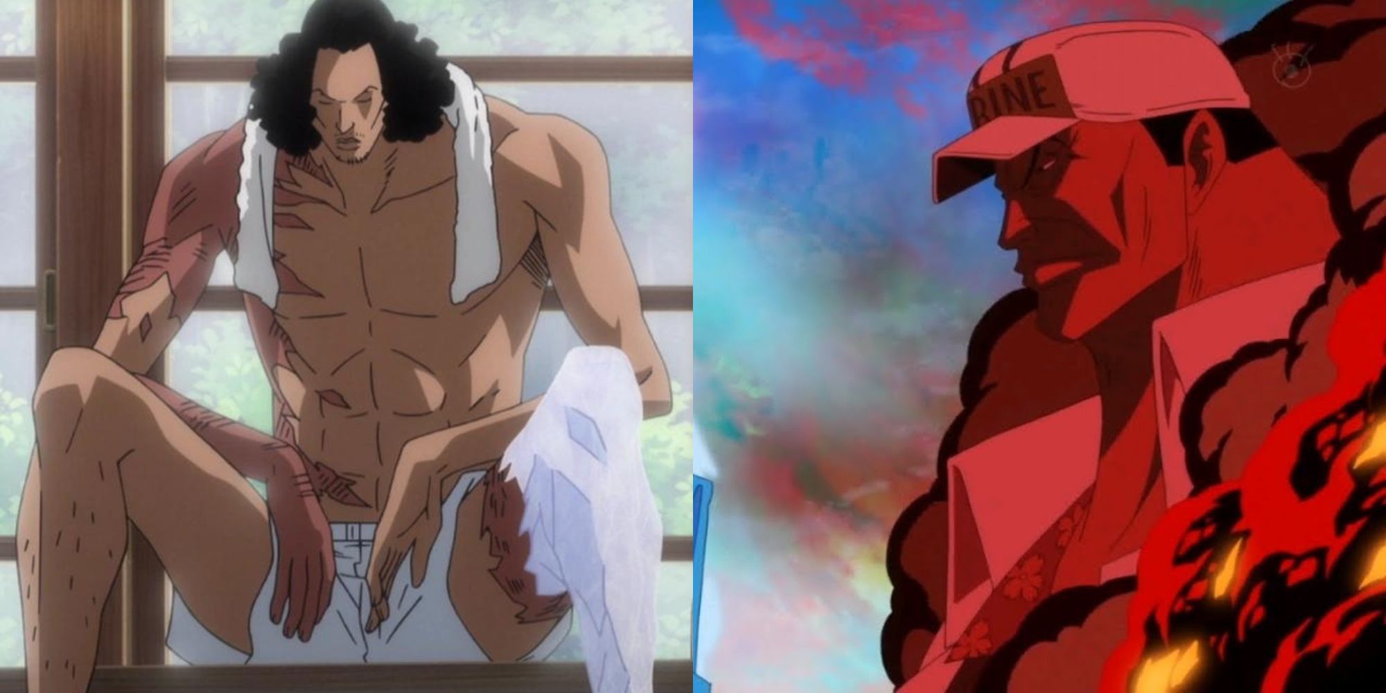 Best Scars In One Piece