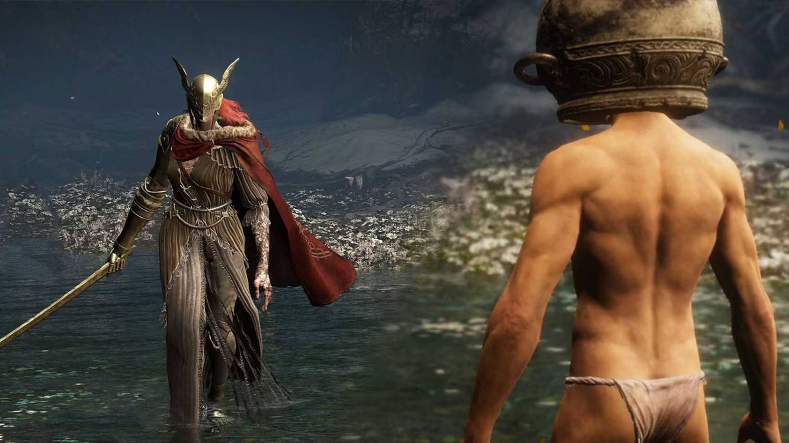 Let Me Solo Her defeats final boss in Elden Ring DLC.