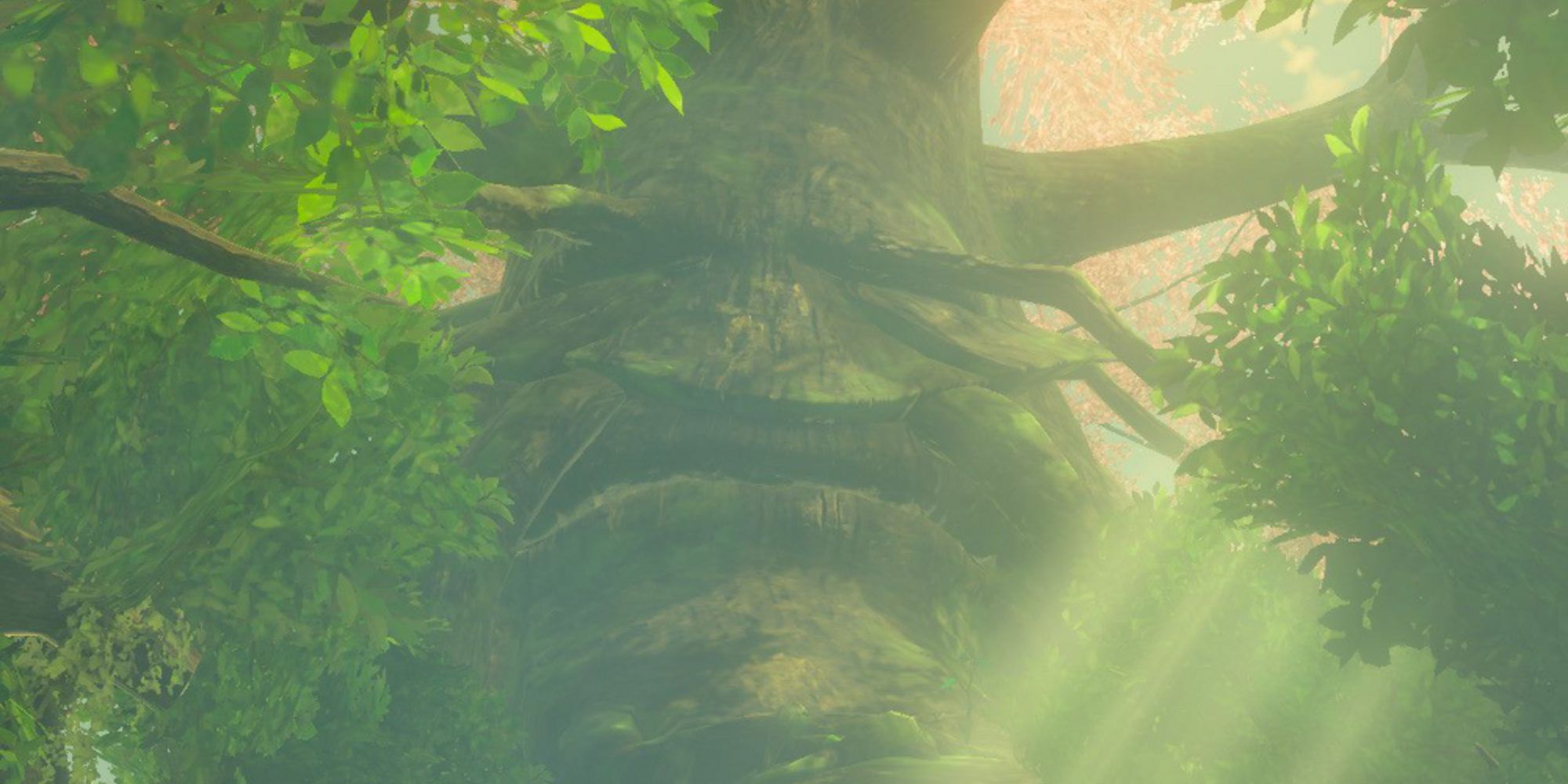 Facts About The Legend Of Zelda's Great Deku Tree