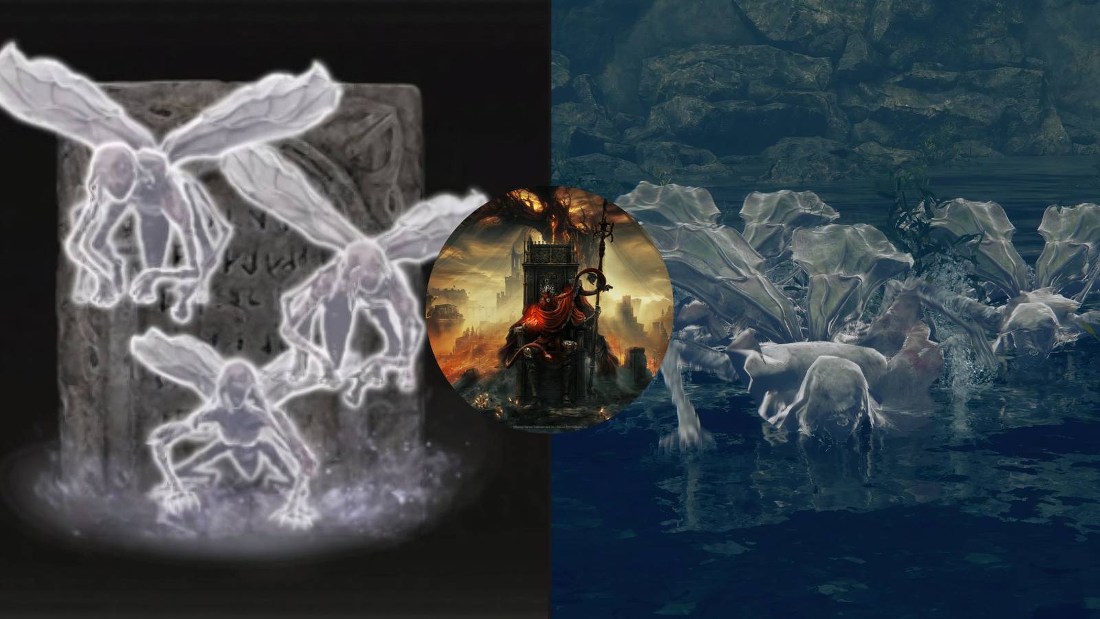 How To Get Man-Fly Ashes In Shadow Of The Erdtree
