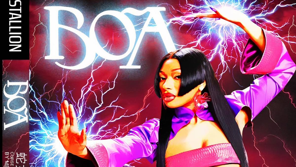 Megan Thee Stallion Boa