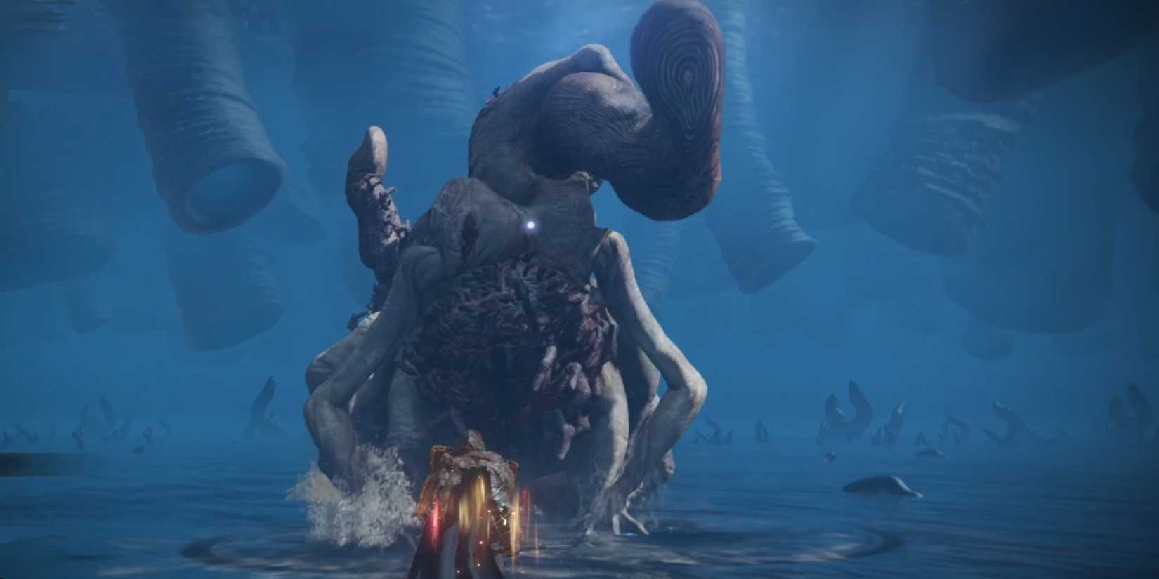 Metyr Mother of Fingers entire body in Elden Ring