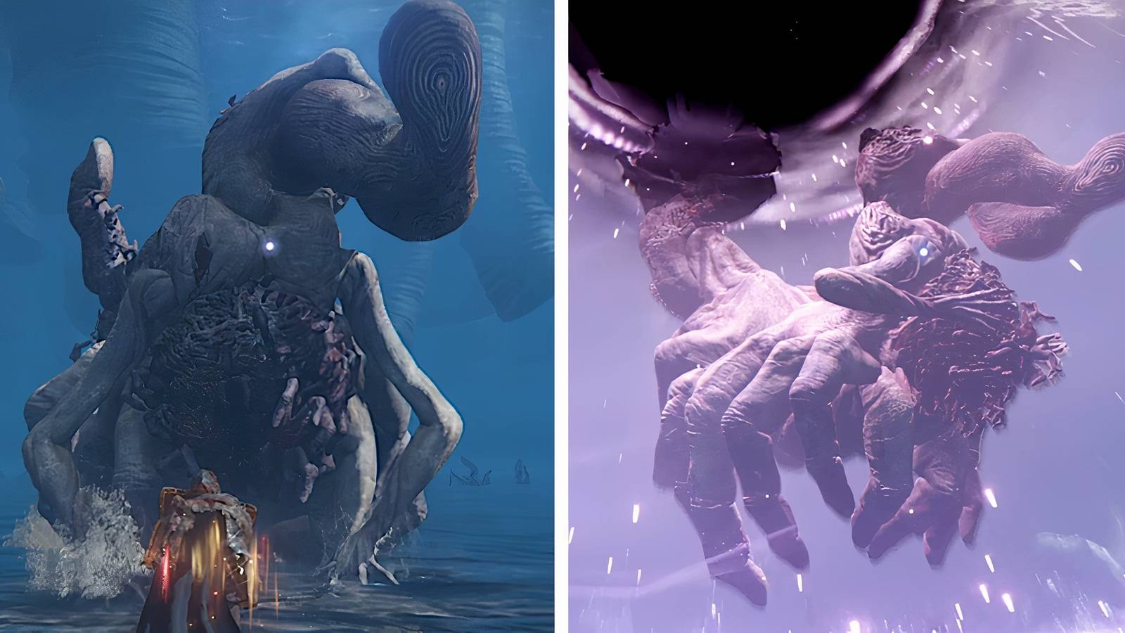 Metyr Mother of fingers fighting against a Tarnished in Elden Ring