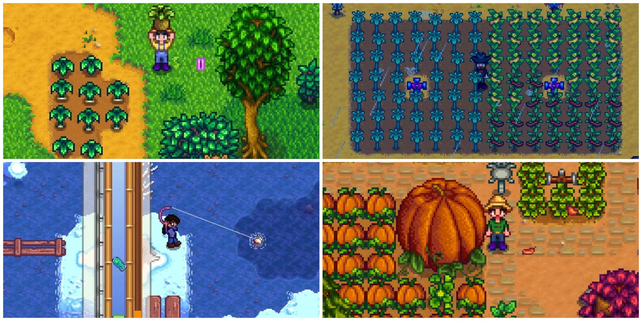 stardew seasons