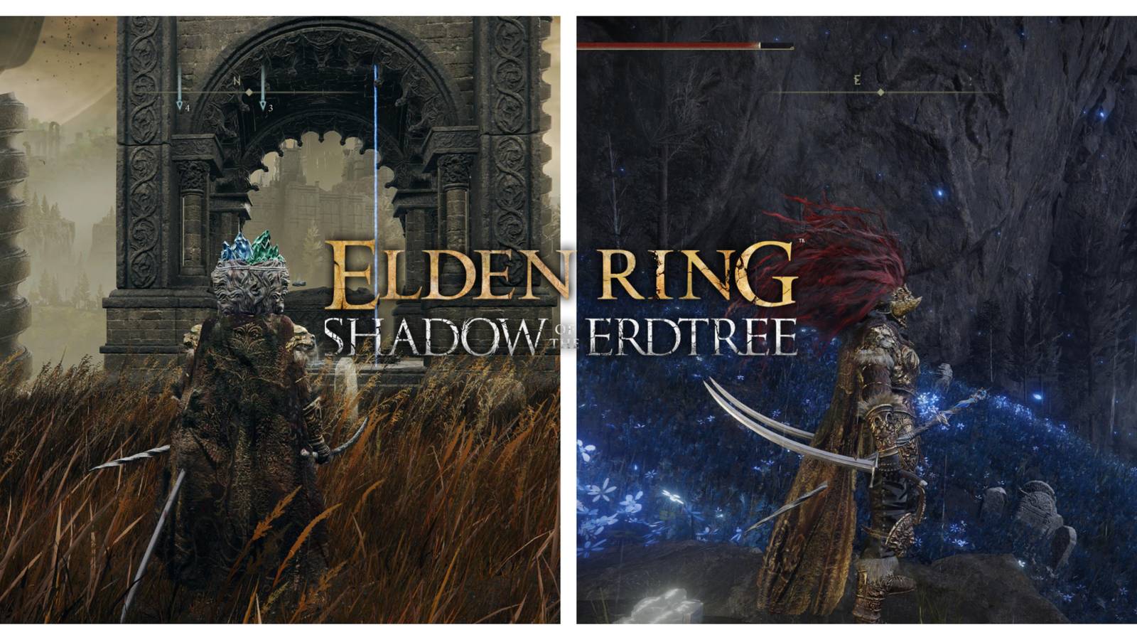 elden ring shaodw of the erdtree backhand blade location 2