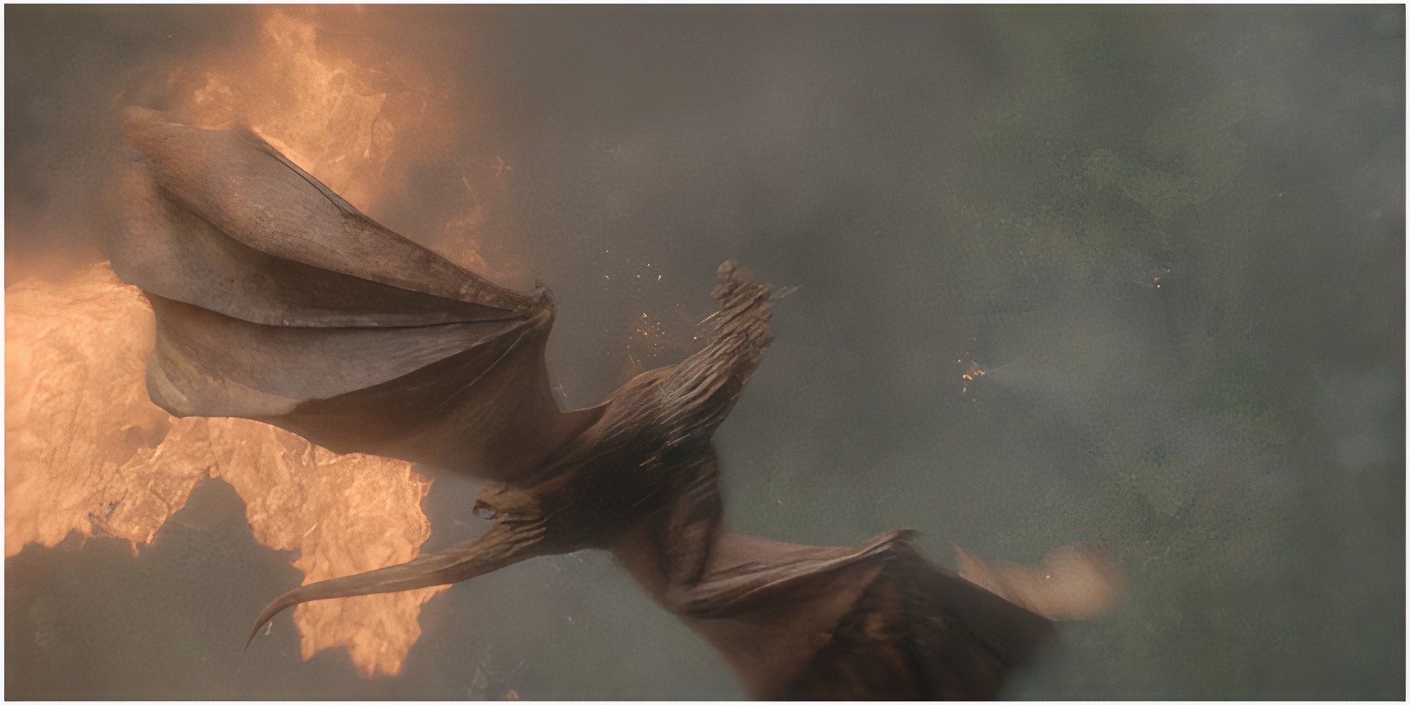 House of the Dragon Season 2, Episode 4: Why Does Aemond Targaryen Try To Kill Aegon And Sunfyre?