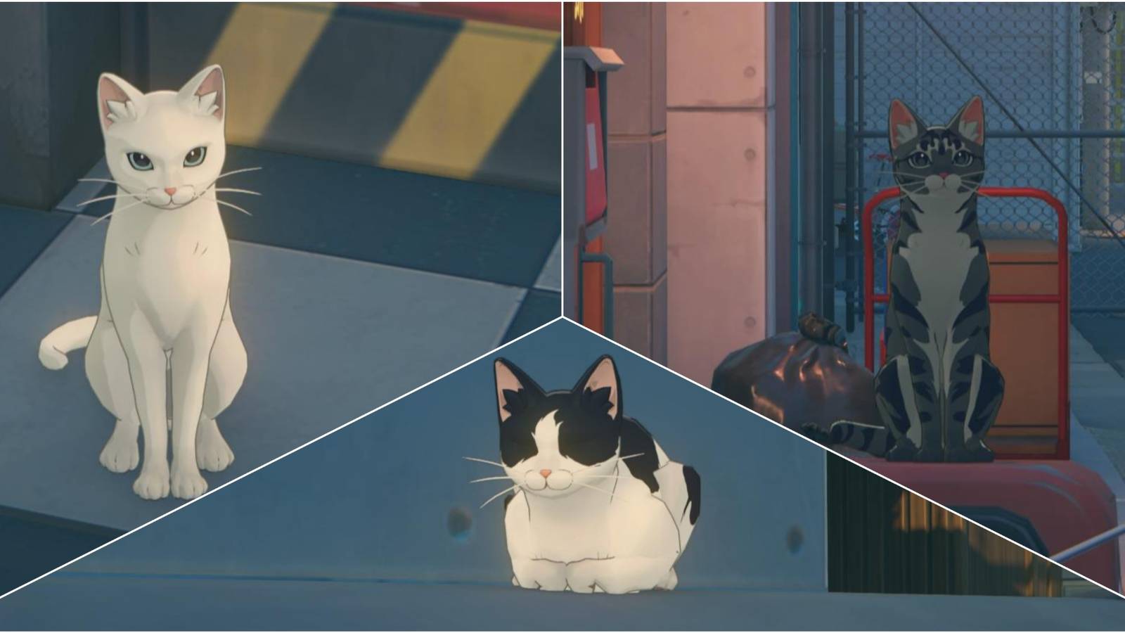 Zenless Zone Zero: All Cat Locations From Weekly Custom Schedule