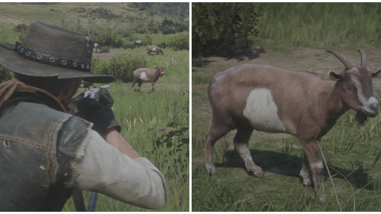 john marston shooting a goat