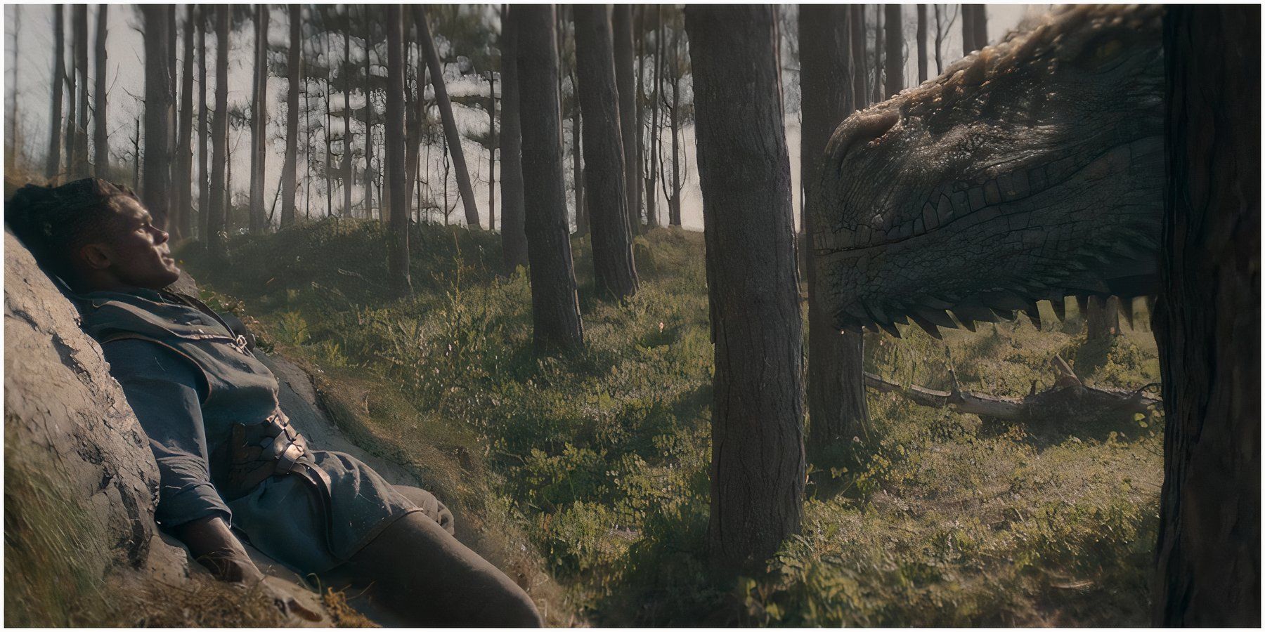 House of the Dragon: Who is Seasmoke's New Rider (& Why Did The Dragon ...