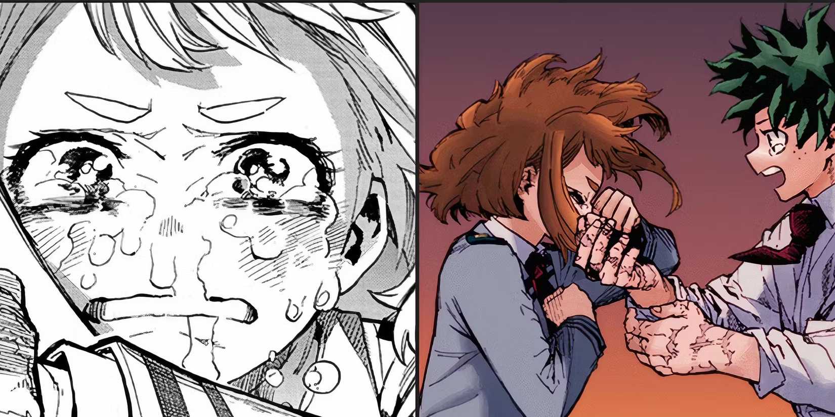 My Hero Academia's Biggest Unanswered Question - Did Deku and Ochako's ...