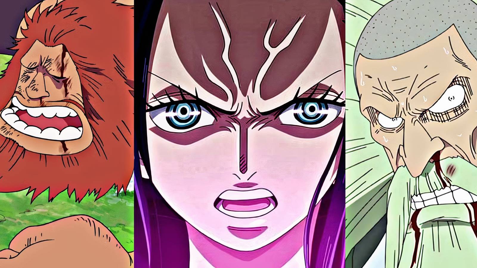 nico robin d family one piece