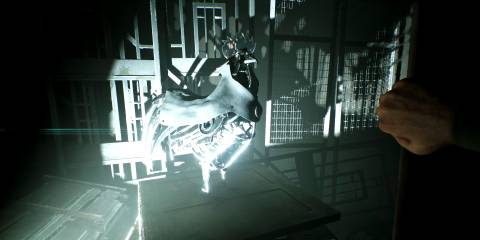 nobody-wants-to-die-chicken-of-justice-statue