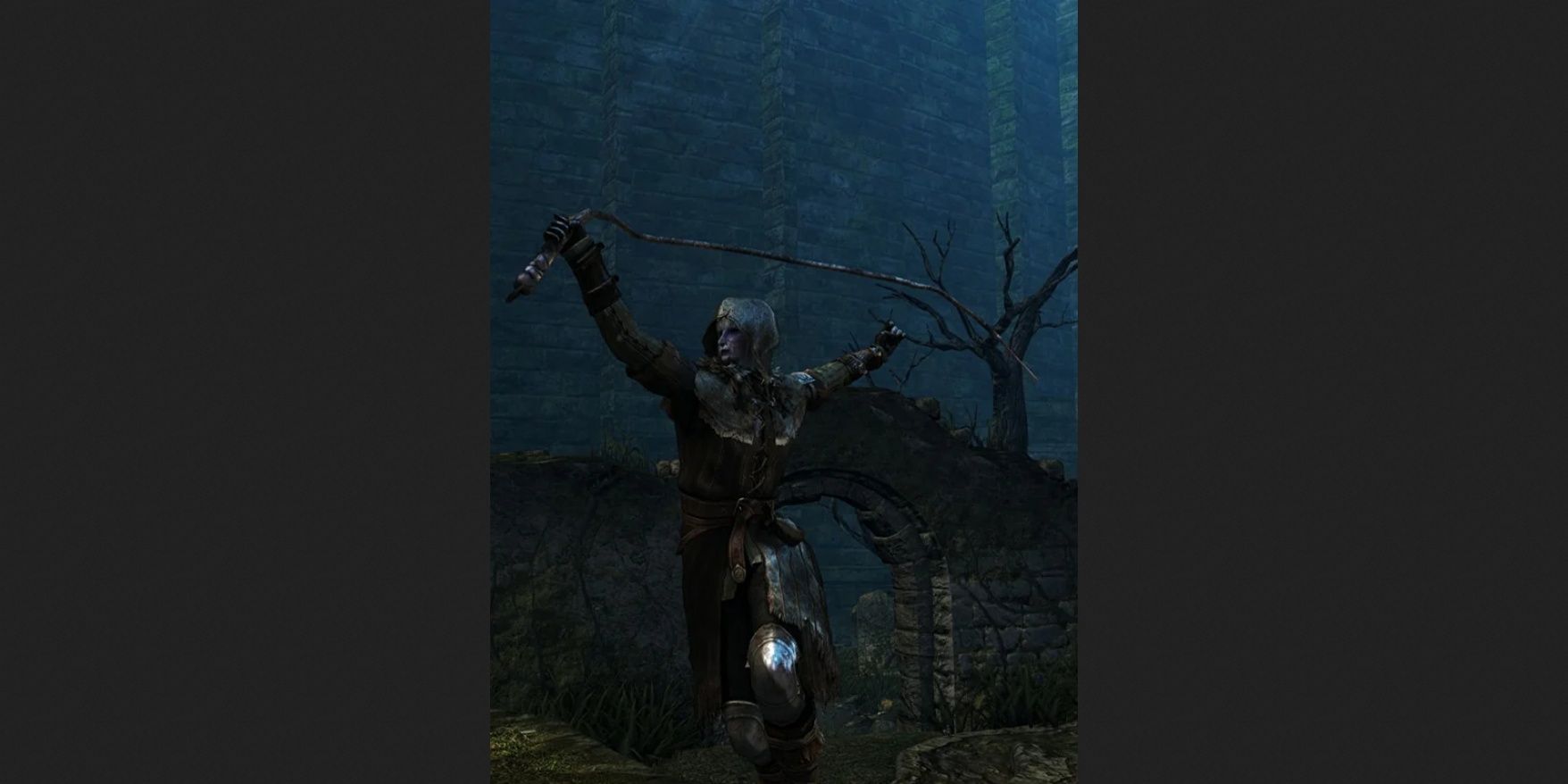 Notched Whip in Dark Souls