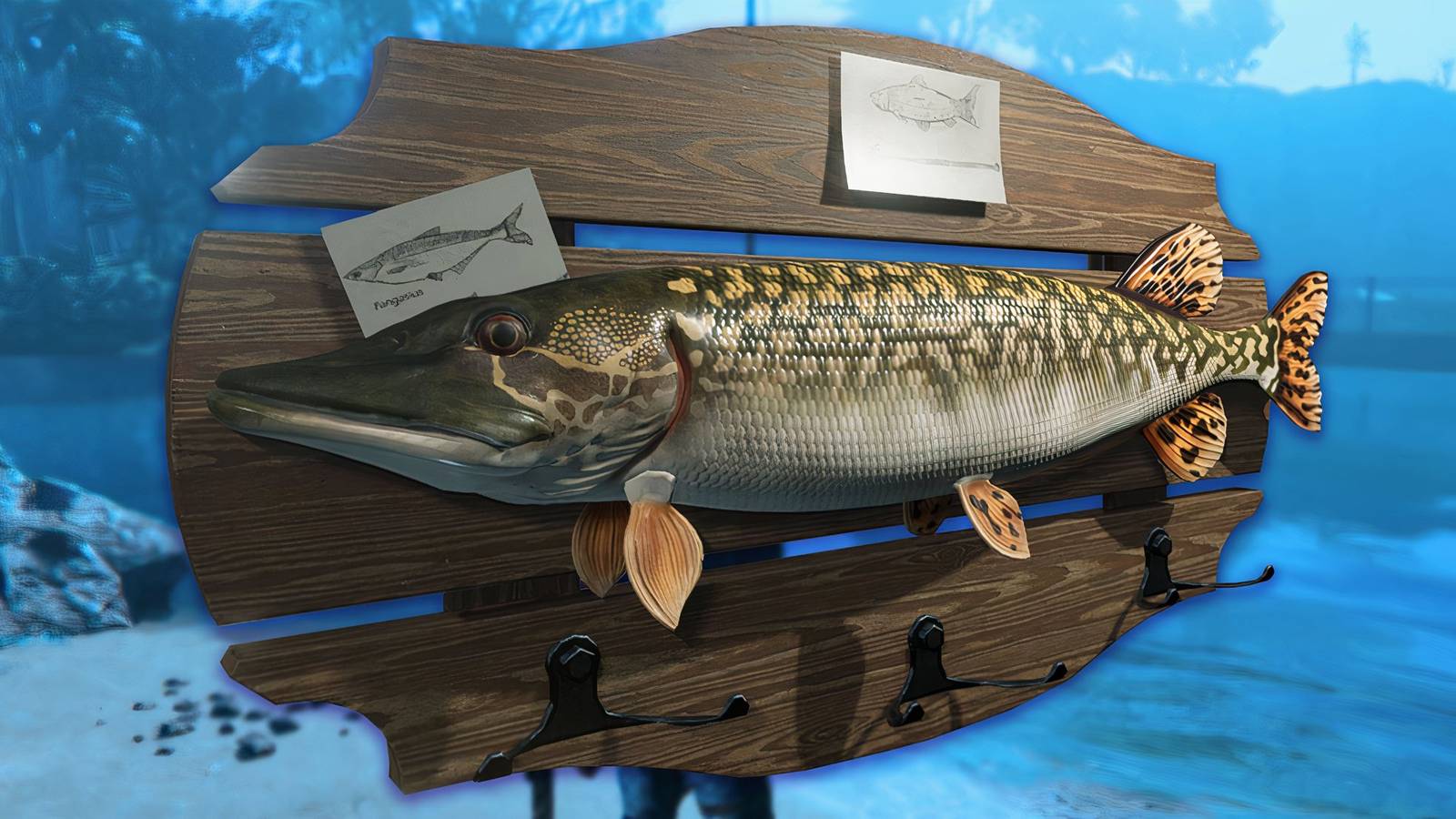 once-human-how-to-fish