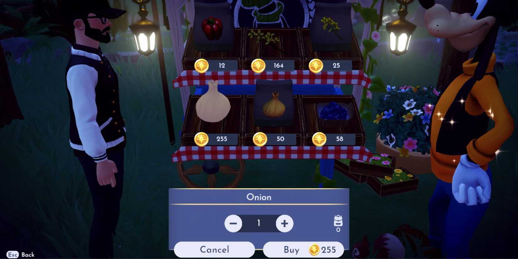 onion price and location ddv