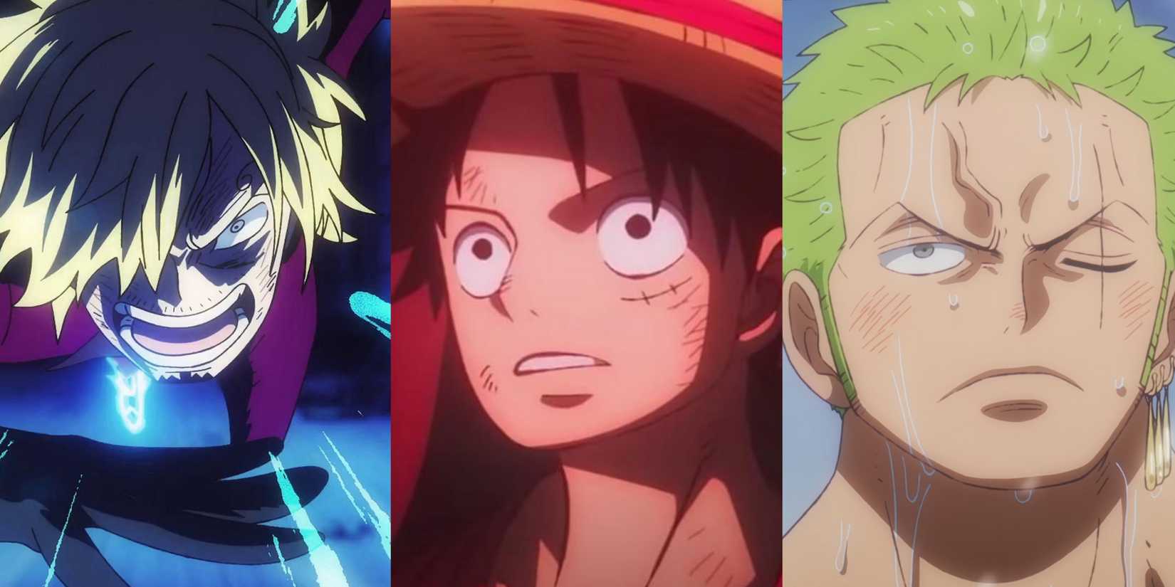 Recommended One Piece: Every Slaw Hat's Role If they were a family Luffy Zoro Sanji
