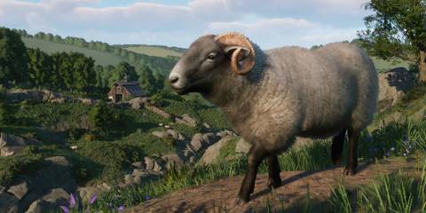 Planet Zoo Barnyard Animal Pack DLC Hill Radnor Sheep
