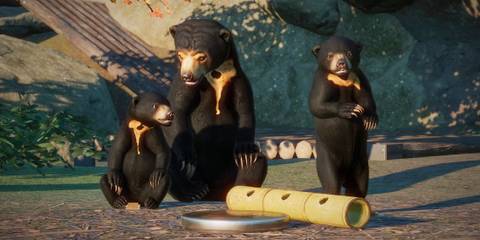 Planet Zoo Southeast Asia Animal Pack DLC Sun Bears