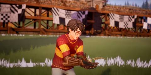 quidditch champions harry potter catch golden snitch