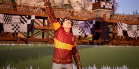 harry potter quidditch champions characters