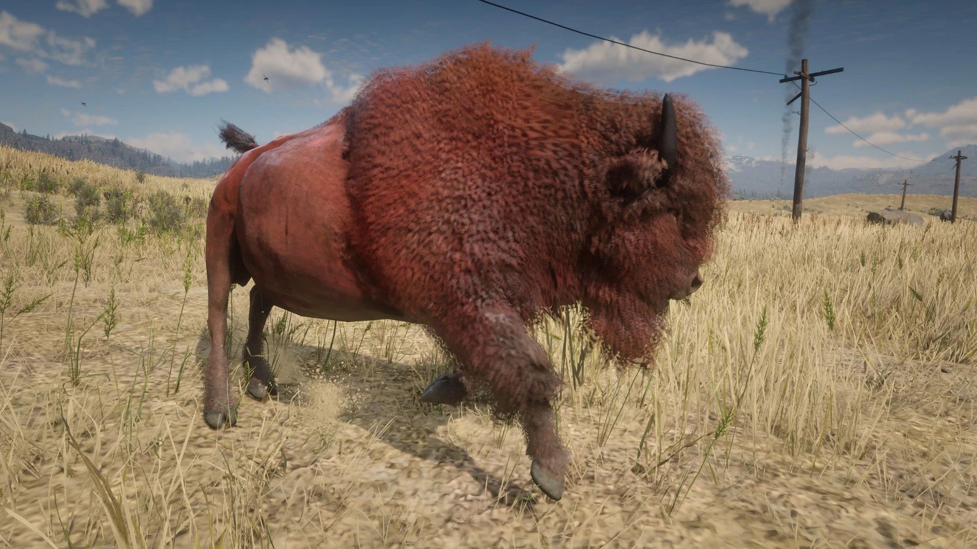 Red Dead Redemption 2 Mods Add Online-Only Animals to The Game