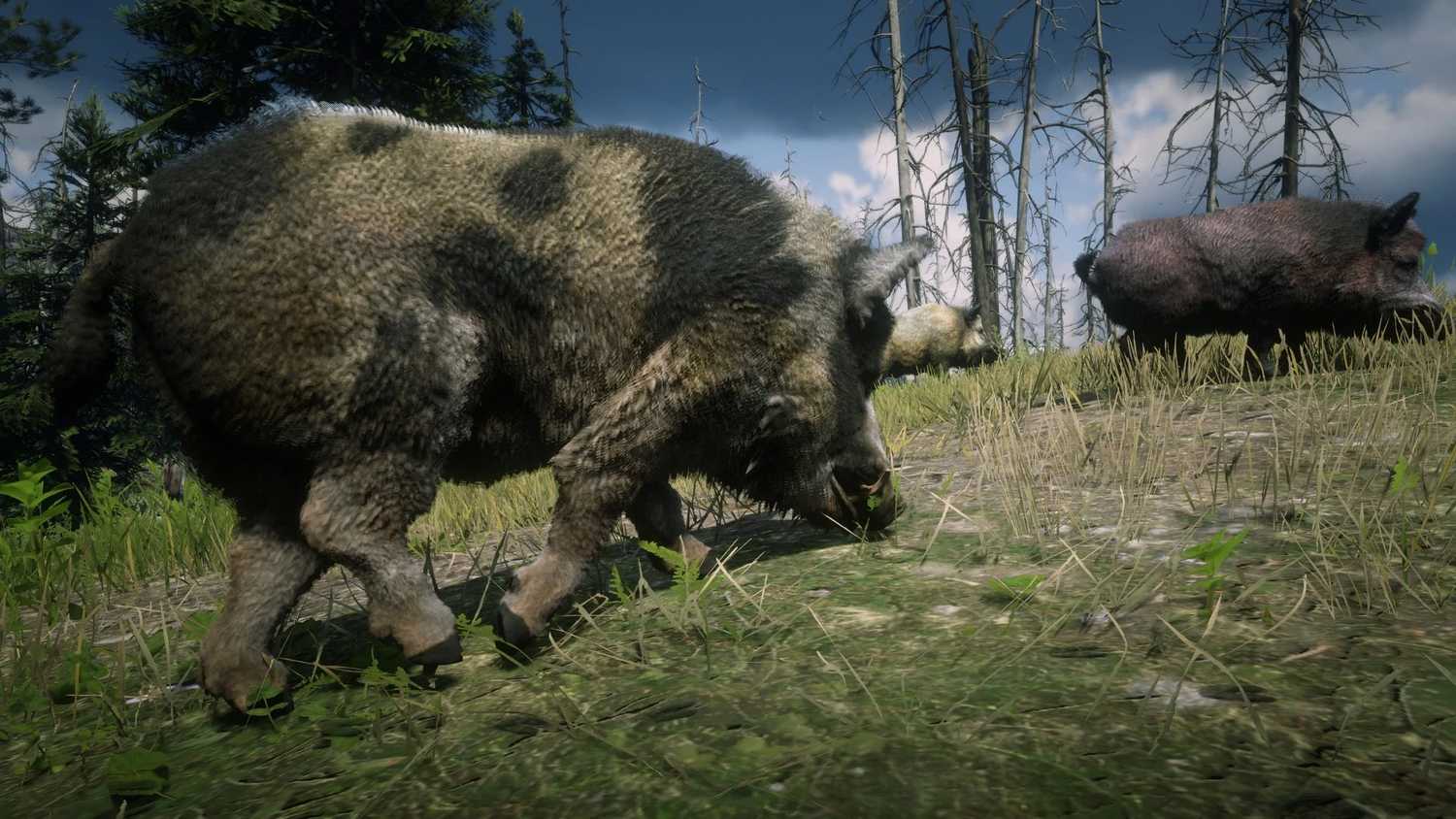 Mob Rdr2o Red Dead Redemption 2 Mods Add Online-Only Animals to The Game