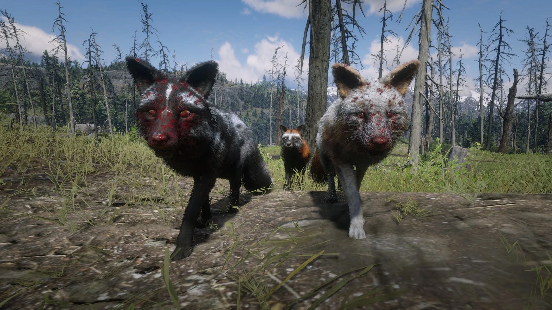 Red Dead Redemption 2 Mods Add Online-Only Animals to The Game