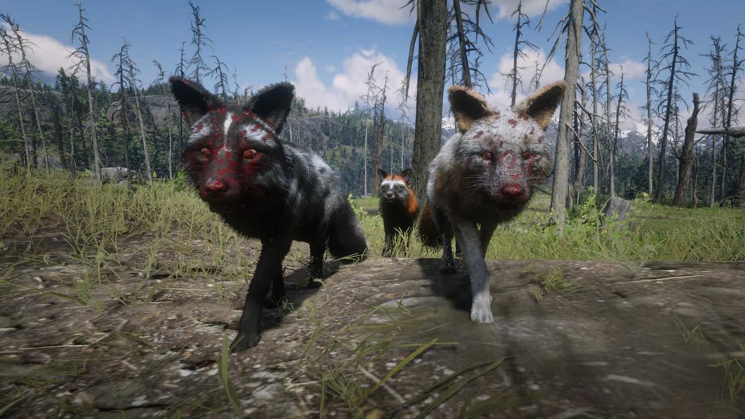Mob Rdr2o Red Dead Redemption 2 Mods Add Online-Only Animals to The Game