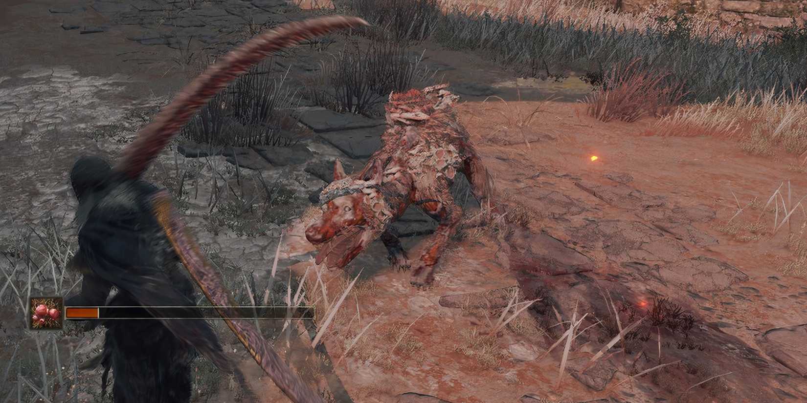 Rotten Stray in Elden Ring