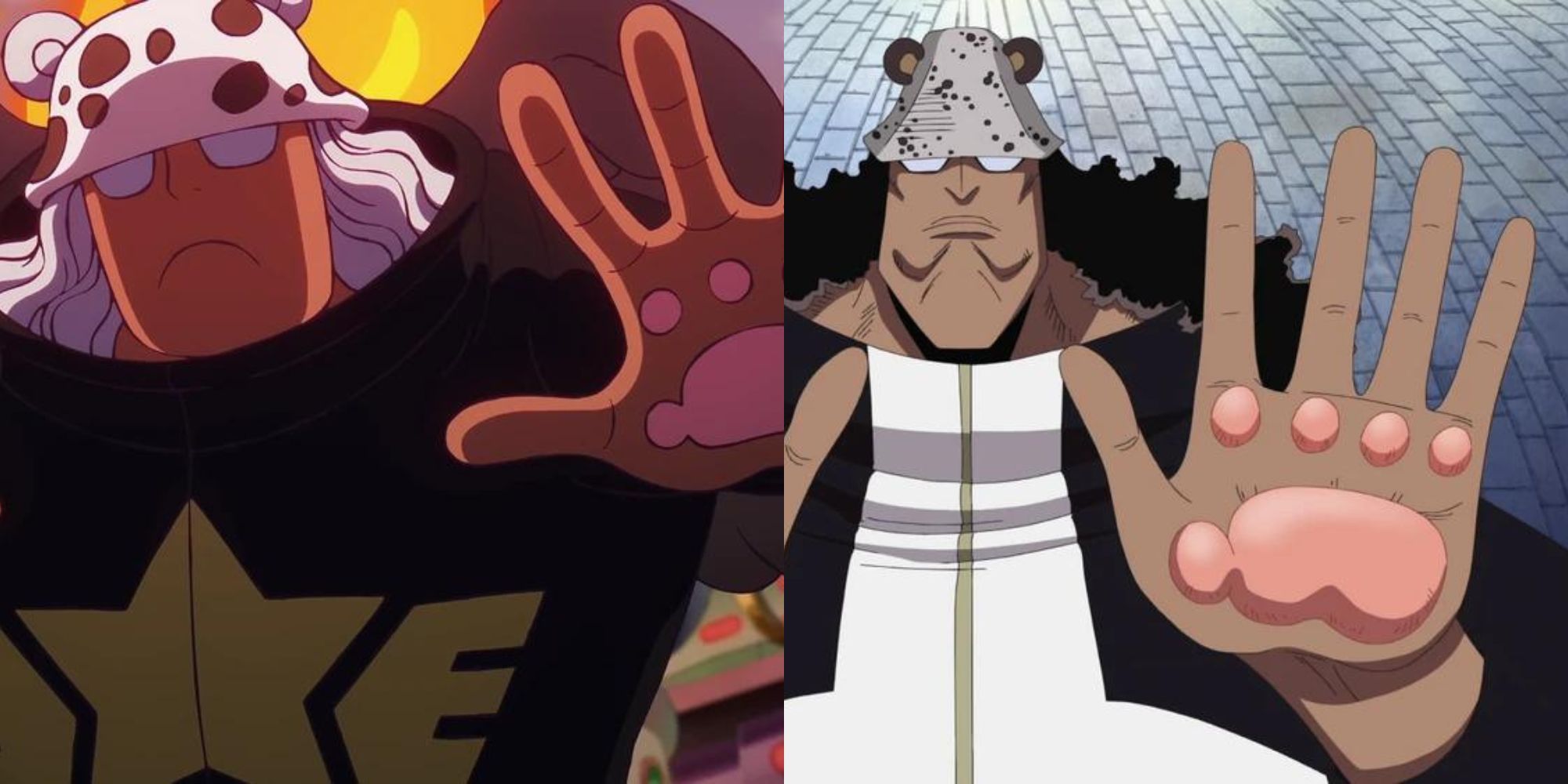 Best Clone Characters In One Piece