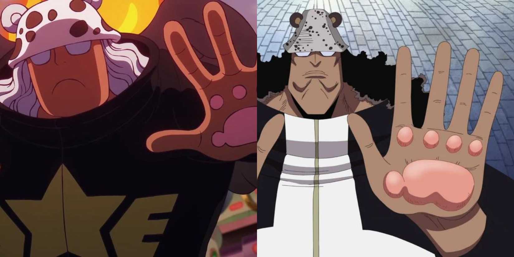 Who Invented Kuma Ribit Best Clone Characters In One Piece