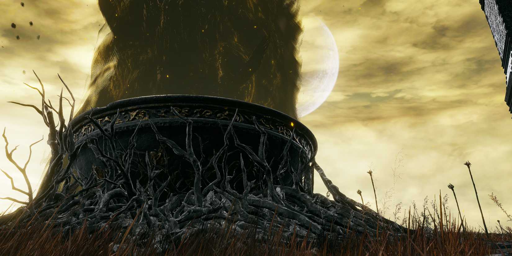 scadutree chalice location in elden ring shadow of the erdtree