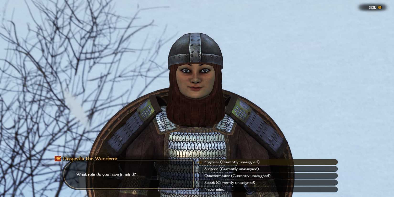 The Player Assigning A Companion A Role