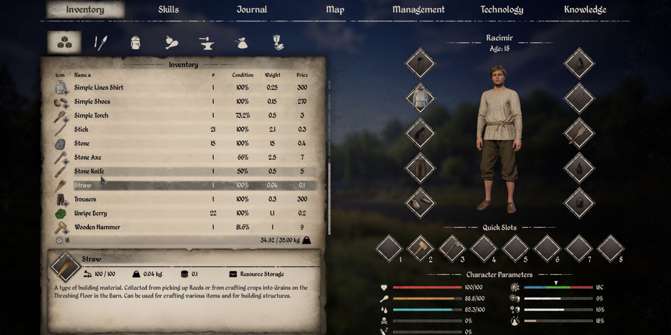 A player inventory with Straw highlighted in Medieval Dynasty