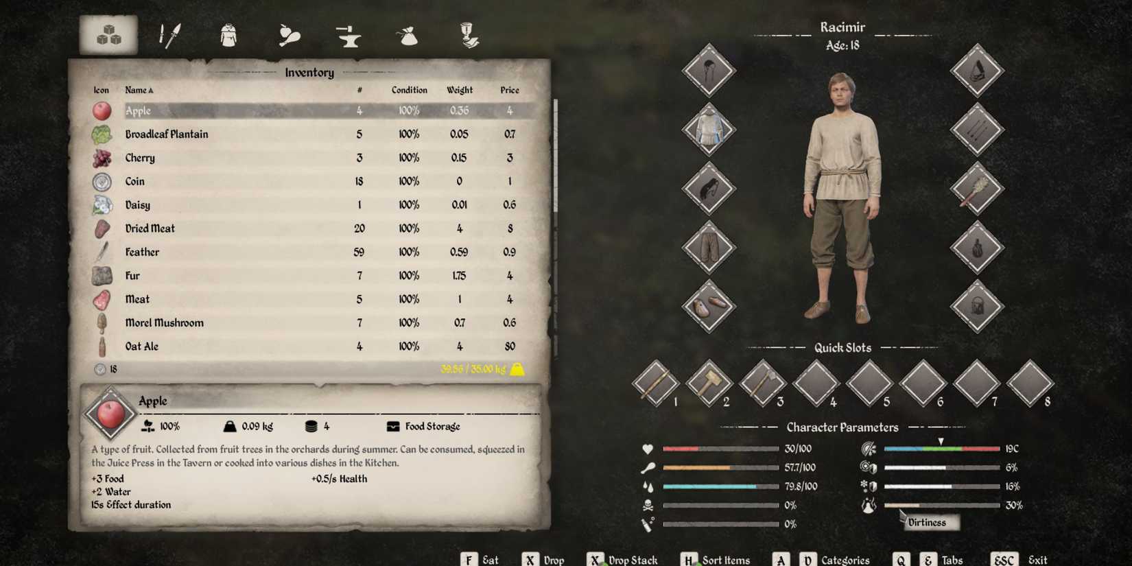 The inventory from Medieval Dynasty showing the dirtiness parameter