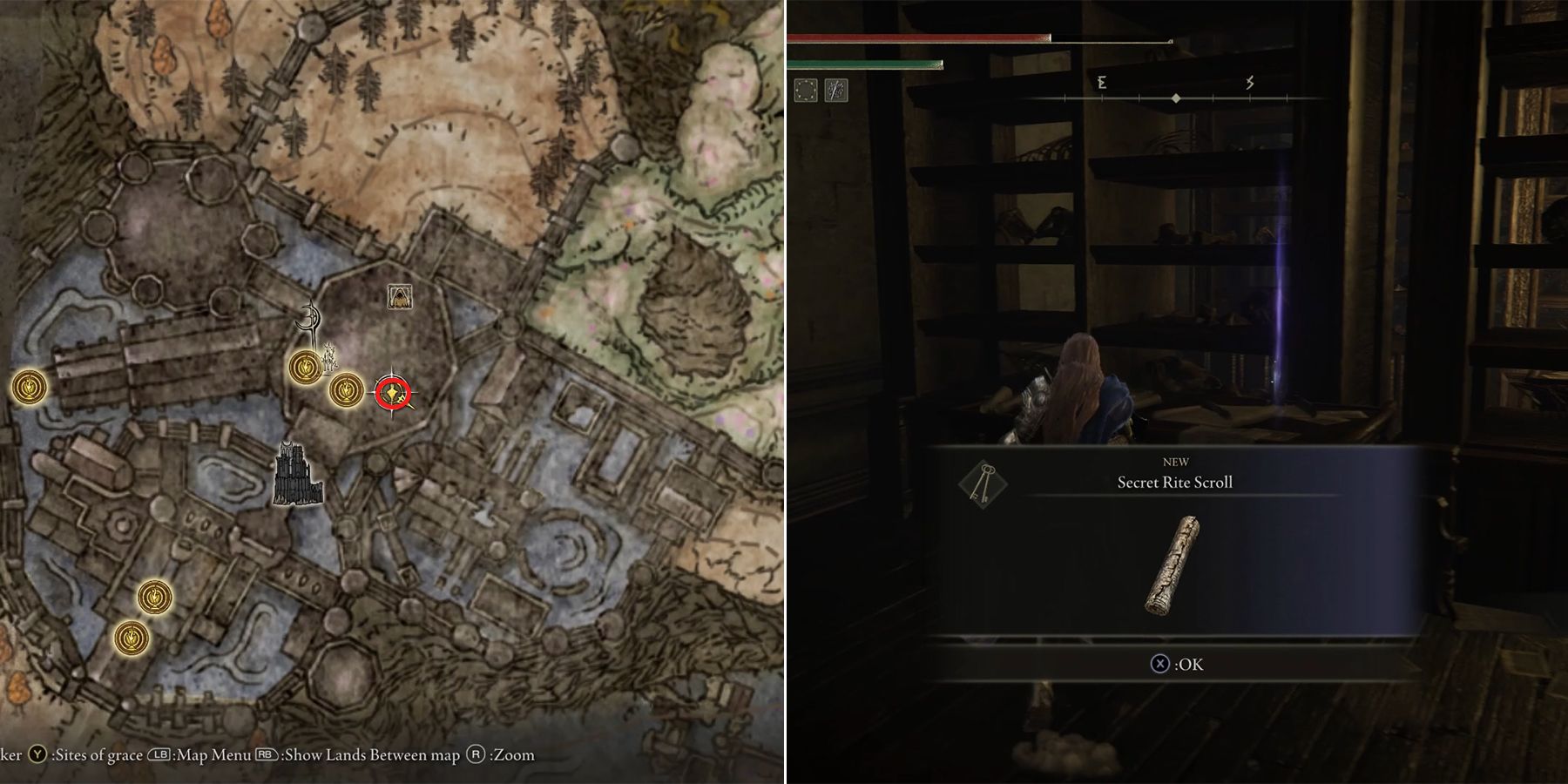 How To Get The Golden Lion Shield - Elden Ring: Shadow Of The Erdtree