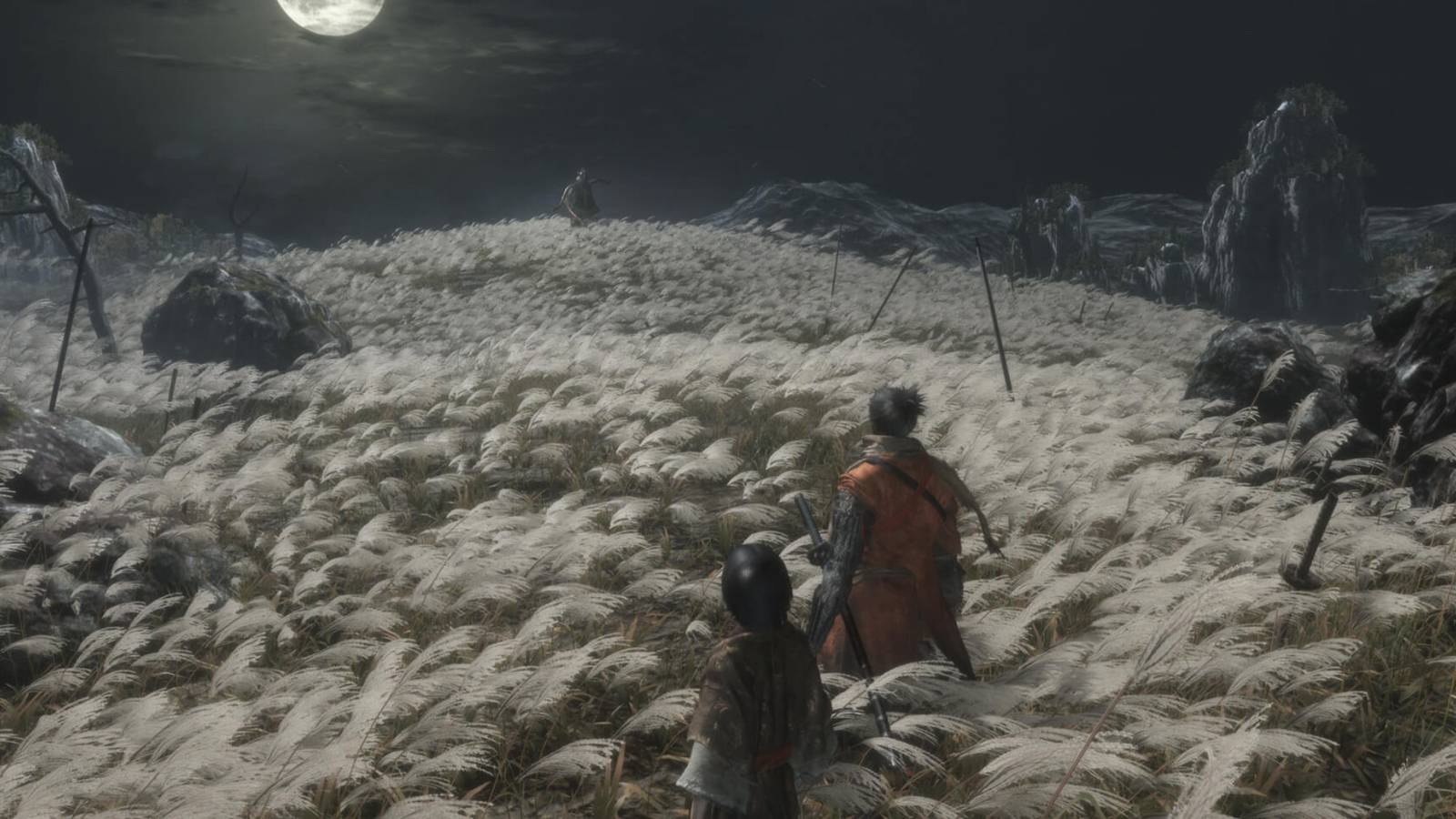 A scene from Sekiro Shadows Die Twice