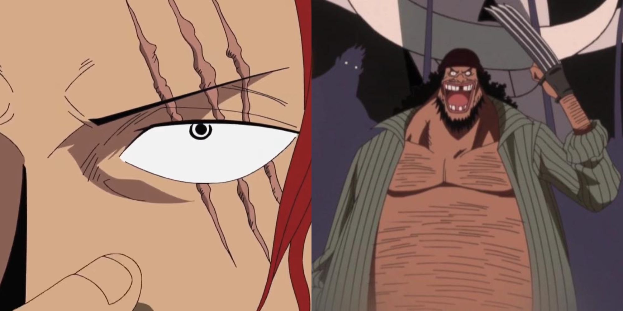 Best Scars In One Piece