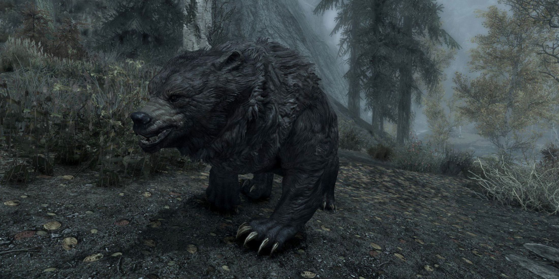 Amazing Skyrim Mod Adds Creature Compendium