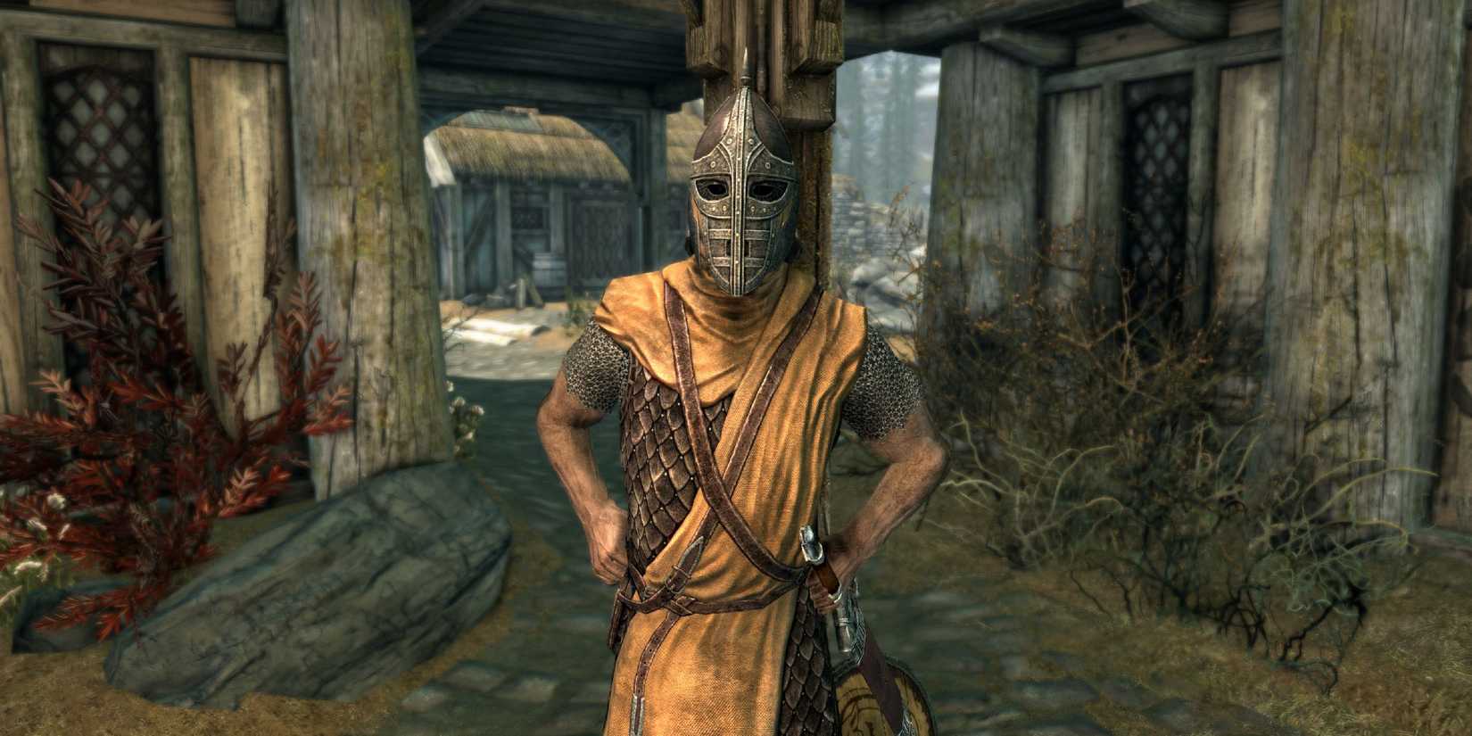 Skyrim Guard