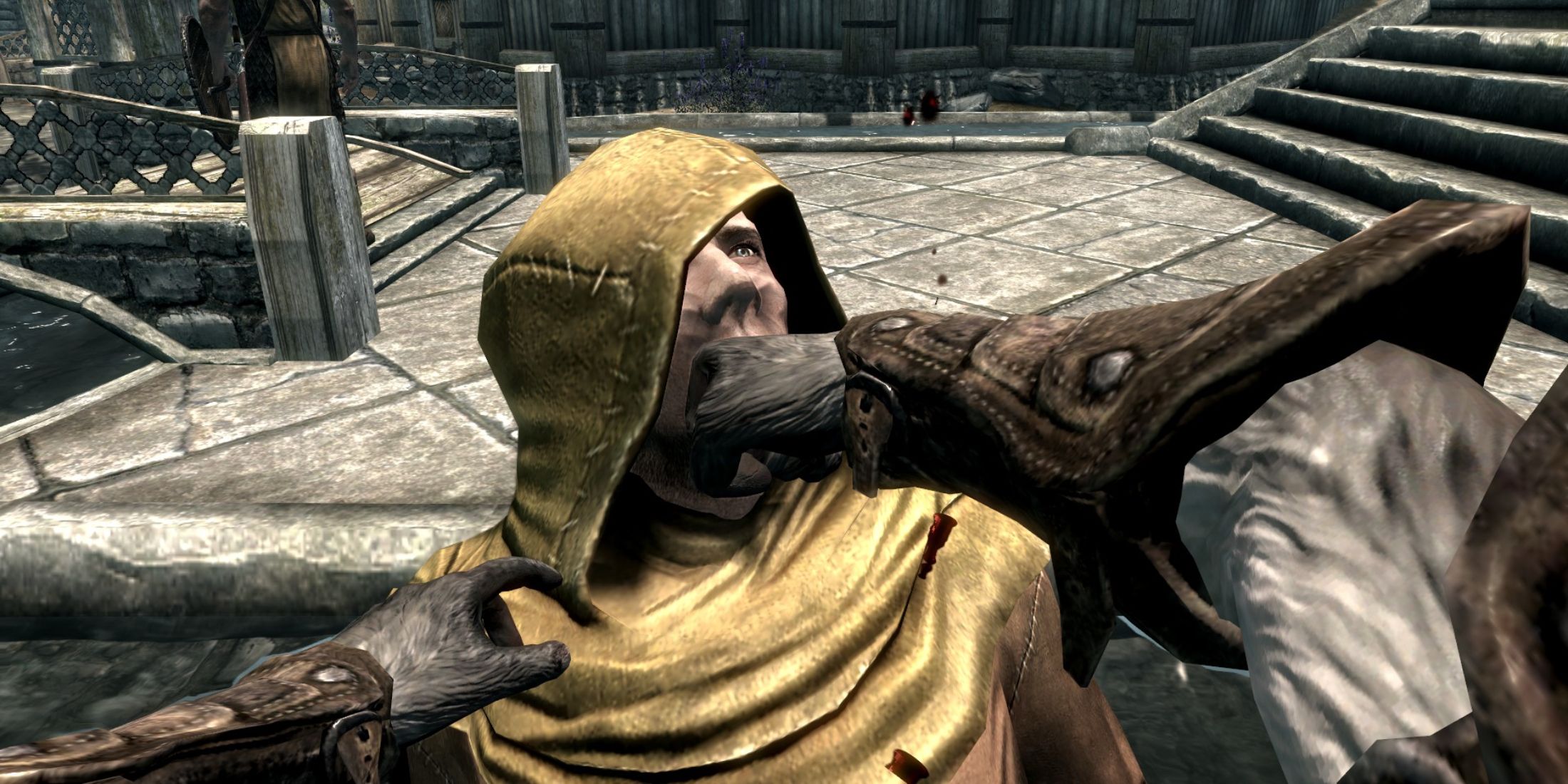 Odd Skyrim Clip Shows Player Punished For Doing a Killmove